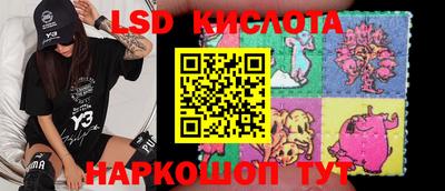 ALPHA PVP Гатчина